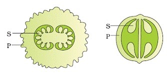 12_bio_ch01_05