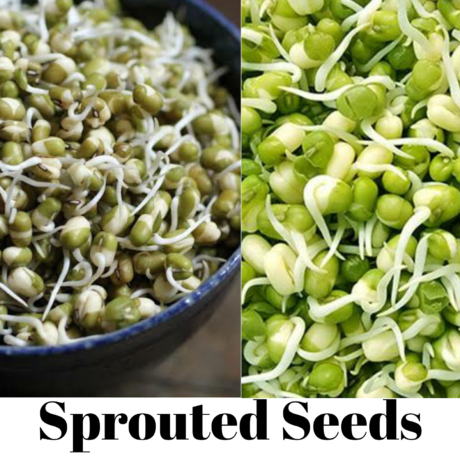 Food: Where Does It Come From?: Sprouted seeds