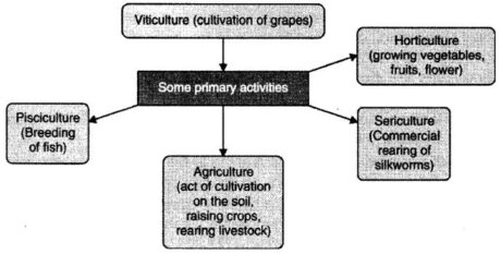 Some Primary Activities: Agriculture
