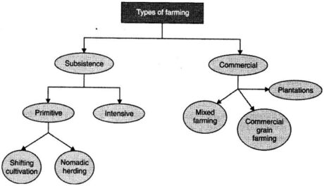 Types of farming