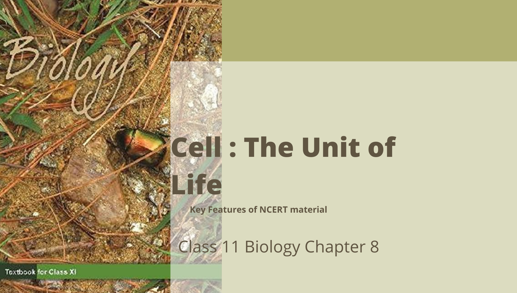 case study of class 11 biology