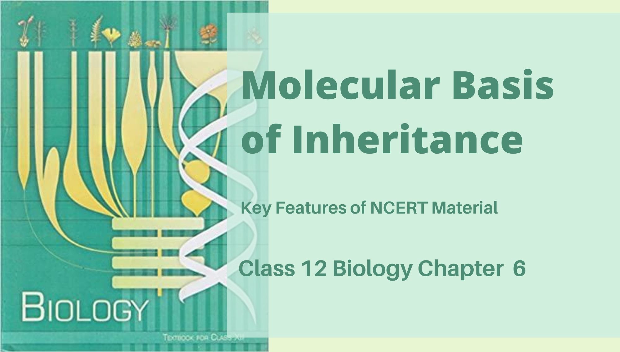 Molecular Basis Of Inheritance Class 12 Biology Ncert Chapter 6 Reeii Education 