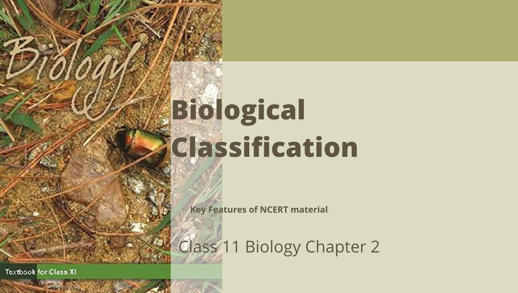 Classification Definition Biology Class 11