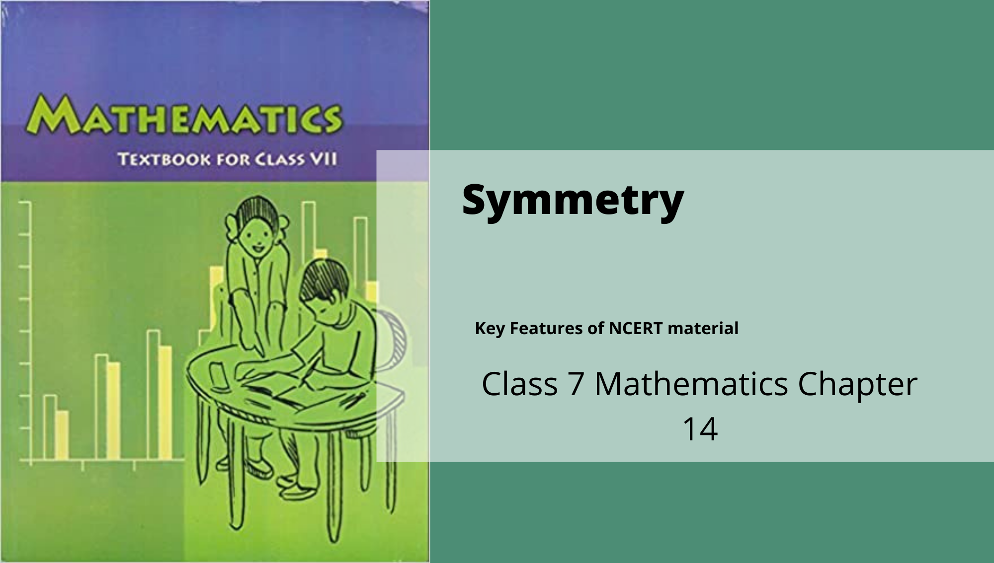 symmetry-maths-class-7-chapter-14-reeii-education