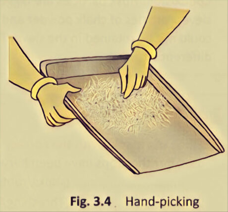 Separation of Substances: Hand picking