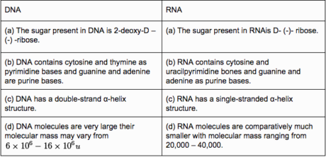 DNA and RNA