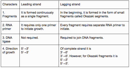 Leading and Lagging strands