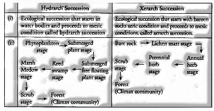 differentiation between successions