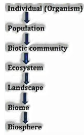 biotechnology and its applications