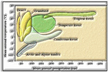 temperature and precipitation