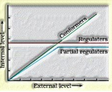 biotechnology and its applications