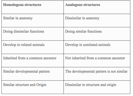 homologous and analogous structures