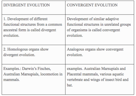 Divergent and convergent evolution