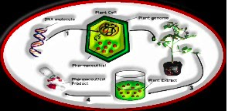 Utilization of Biotechnology in irritation