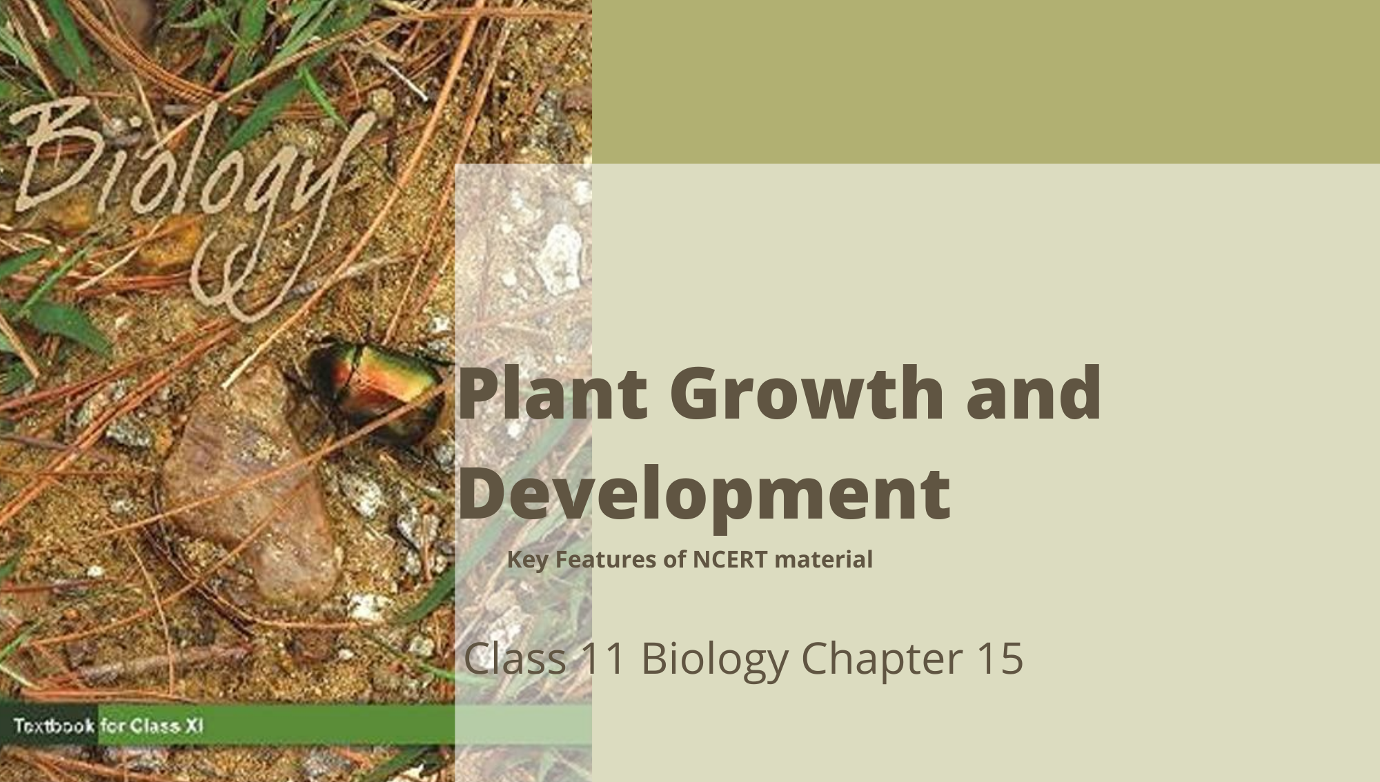 case study on plant growth and development class 11