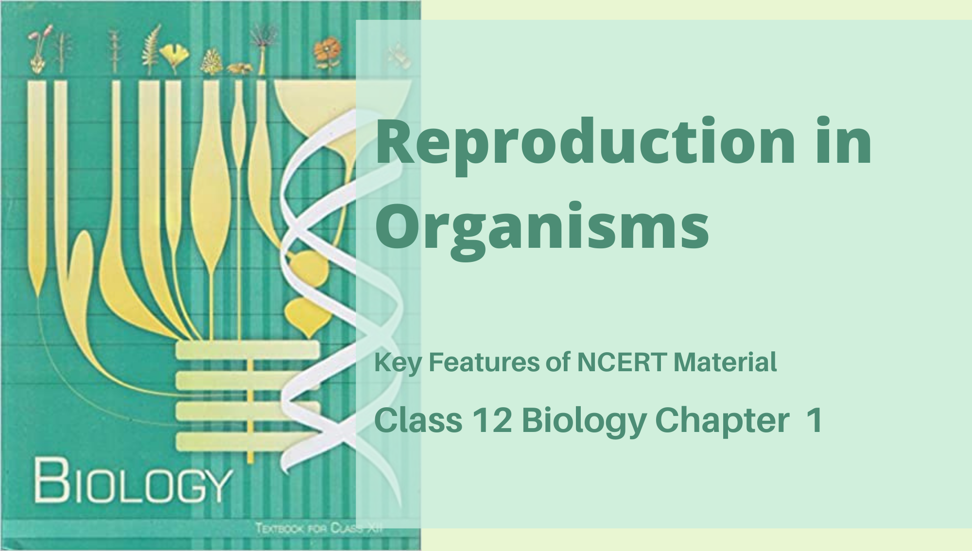 Reproduction in Organisms: Class 12 Biology NCERT Chapter 1 - Reeii