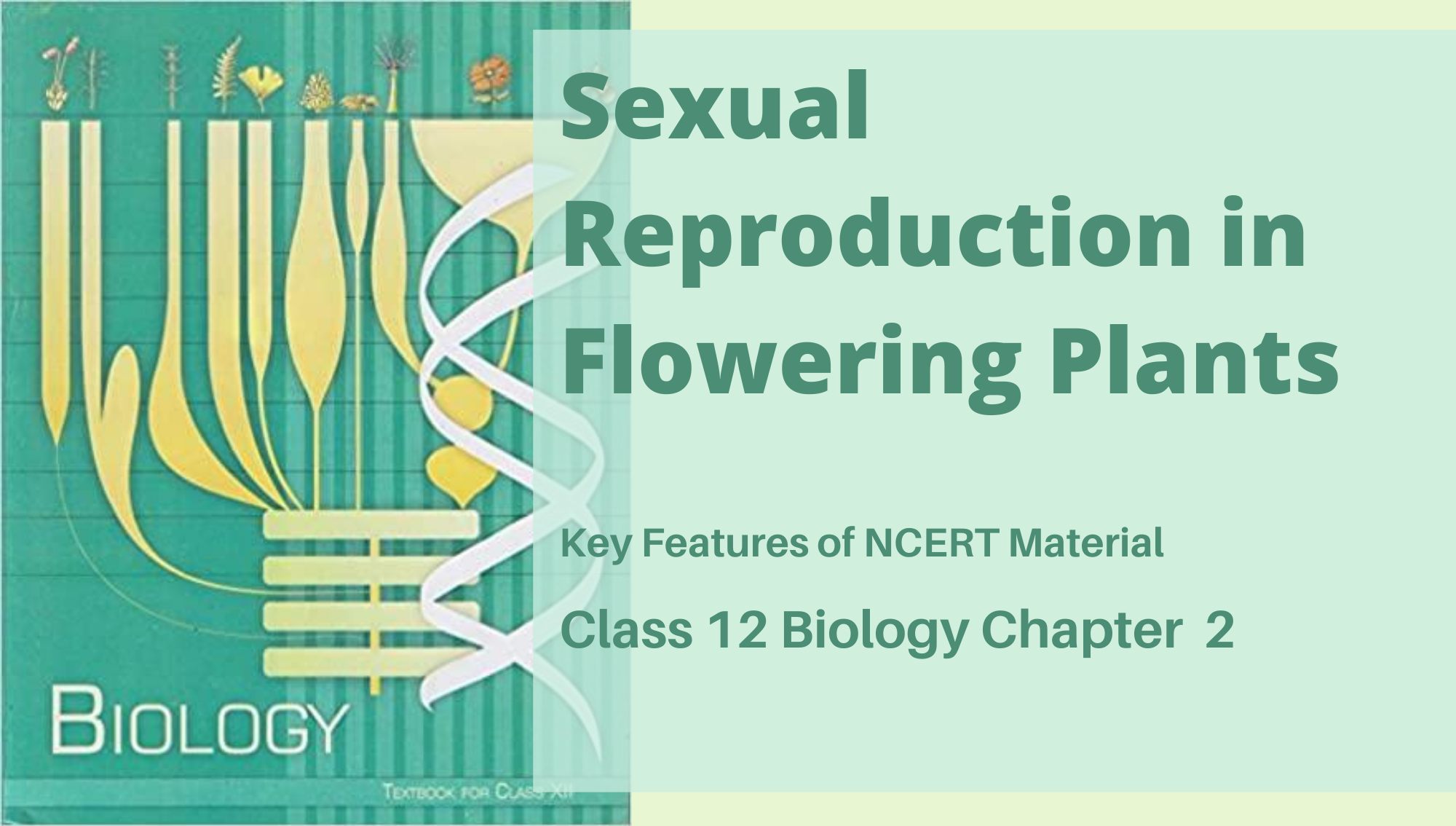 Sexual Reproduction In Flowering Plants Class 12 Biology Ncert Chapter 