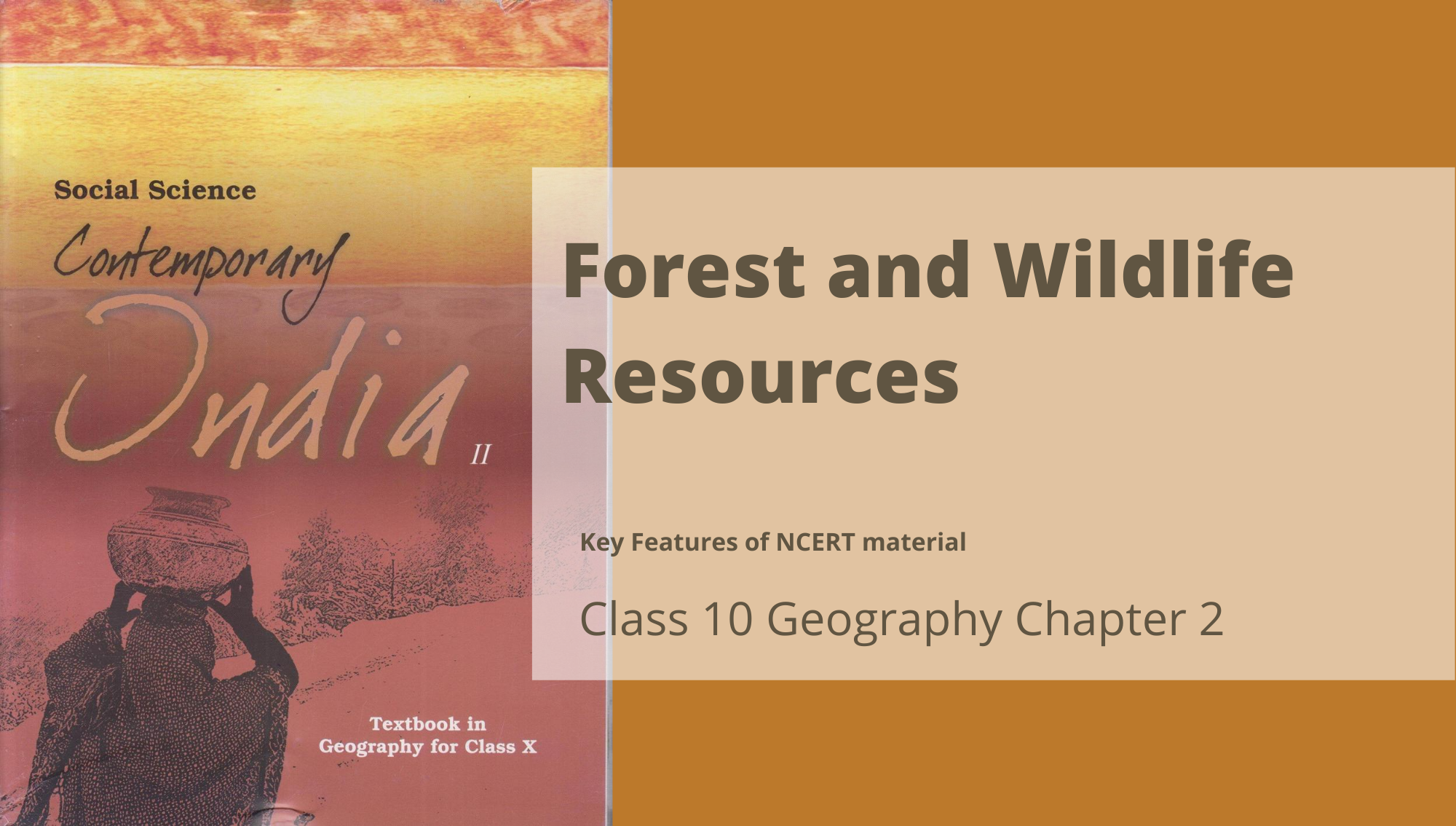 Forest And Wildlife Resources Class 10 Geography Ncert Chapter 2 Reeii Education