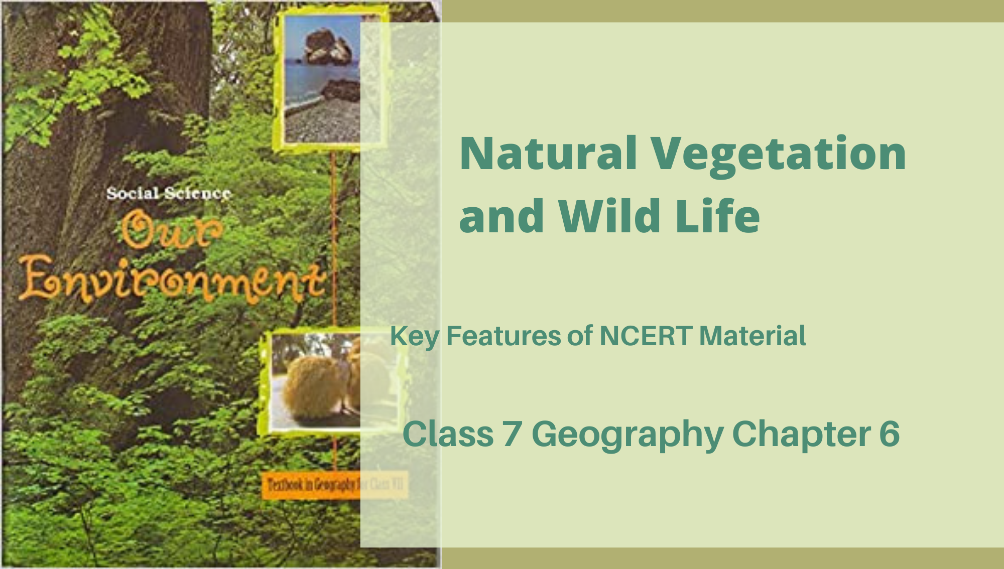 Natural Vegetation And Wildlife Class 8 Pdf