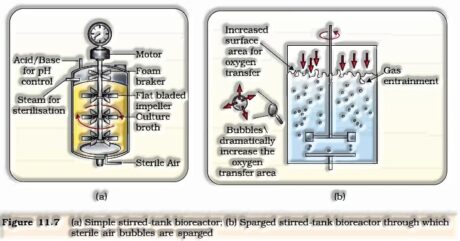 Tank bioreactors