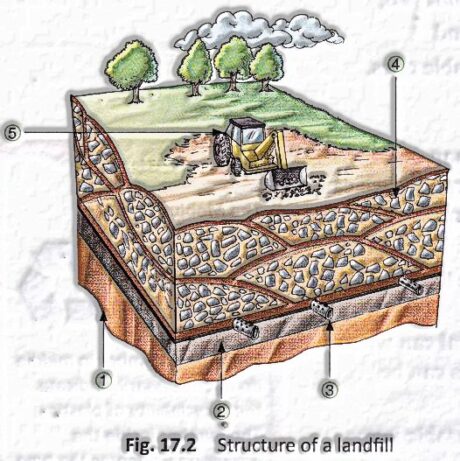 Landfills: Garbage In, Garbage Out