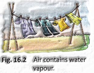 air contains water vapour