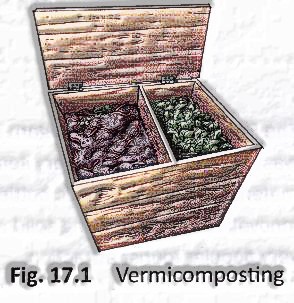 Vermicompost: Garbage In, Garbage Out