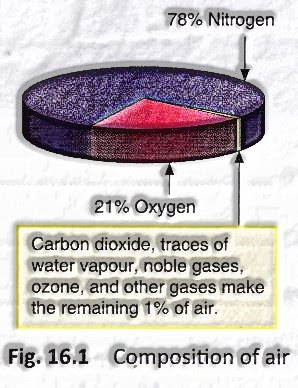 composition of air by gases