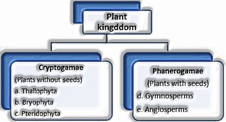 Plant Kingdom