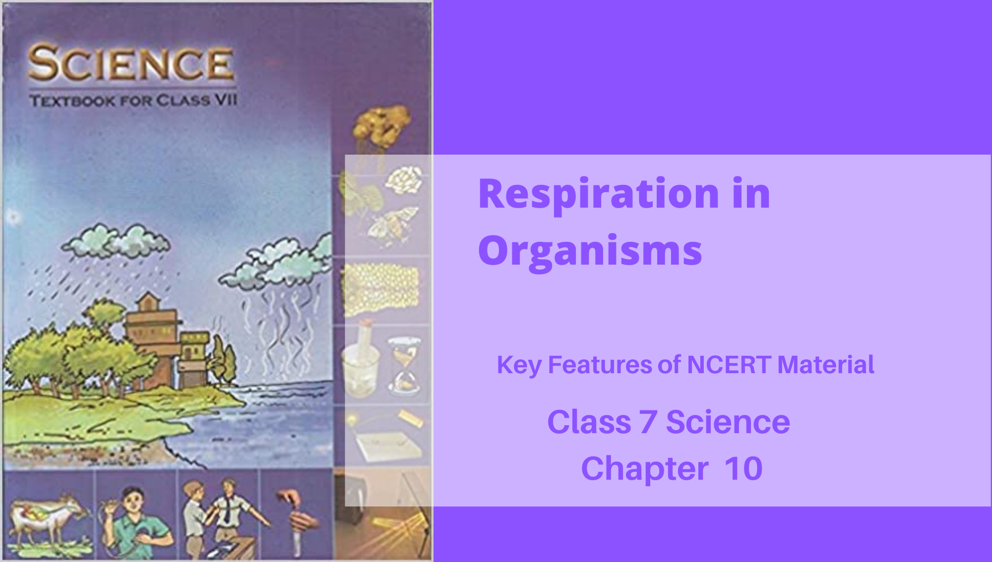 Respiration in Organisms: Class 7 Science NCERT Chapter 10 - Reeii