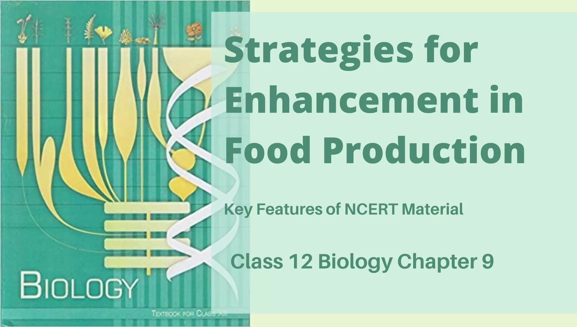 Strategies for Enhancement in Food Production Class 12 Biology NCERT  Chapter 9 - Reeii Education