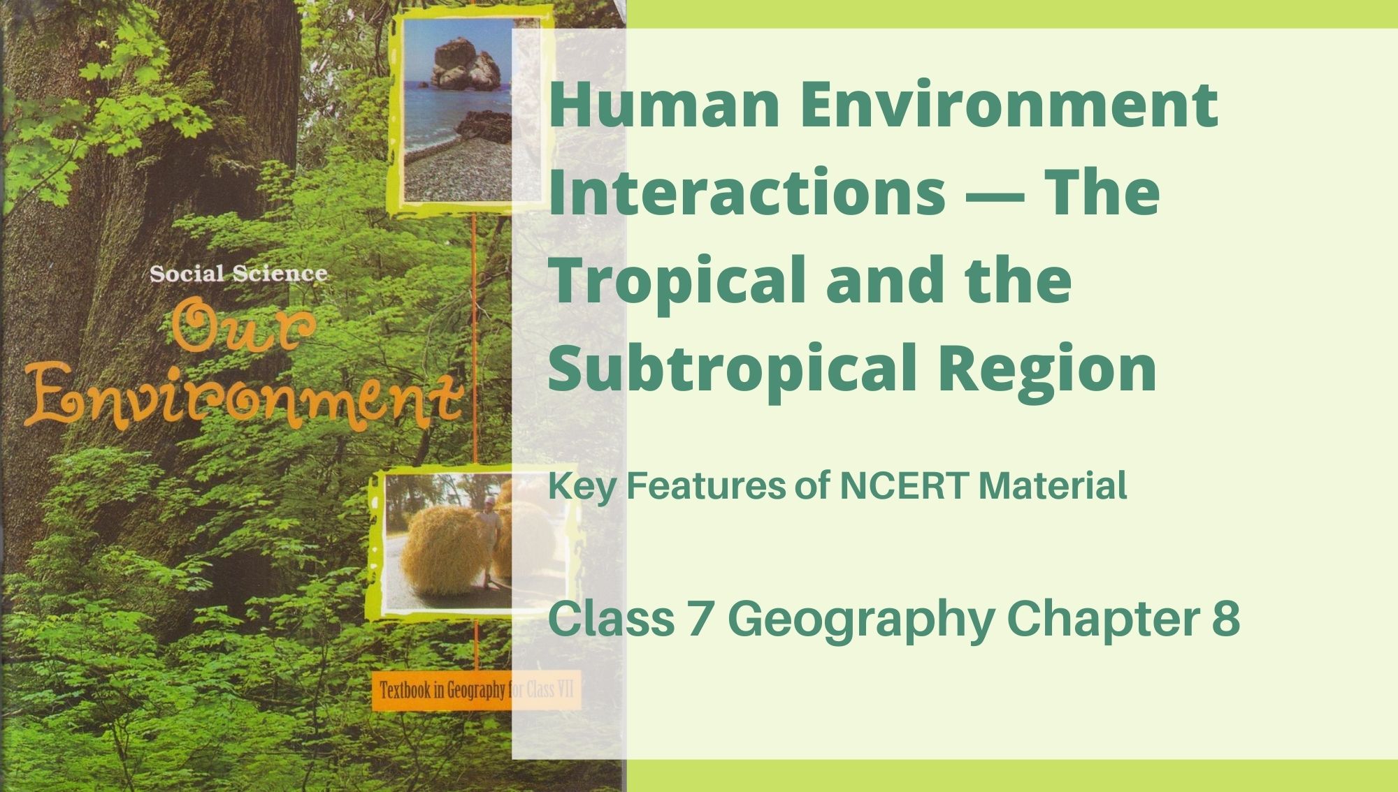 Human Environment Interactions — The Tropical and the Subtropical