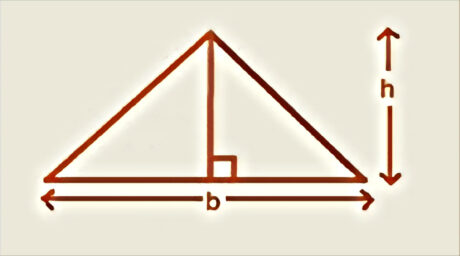 Area of triangle is 1/2 (base)(height)