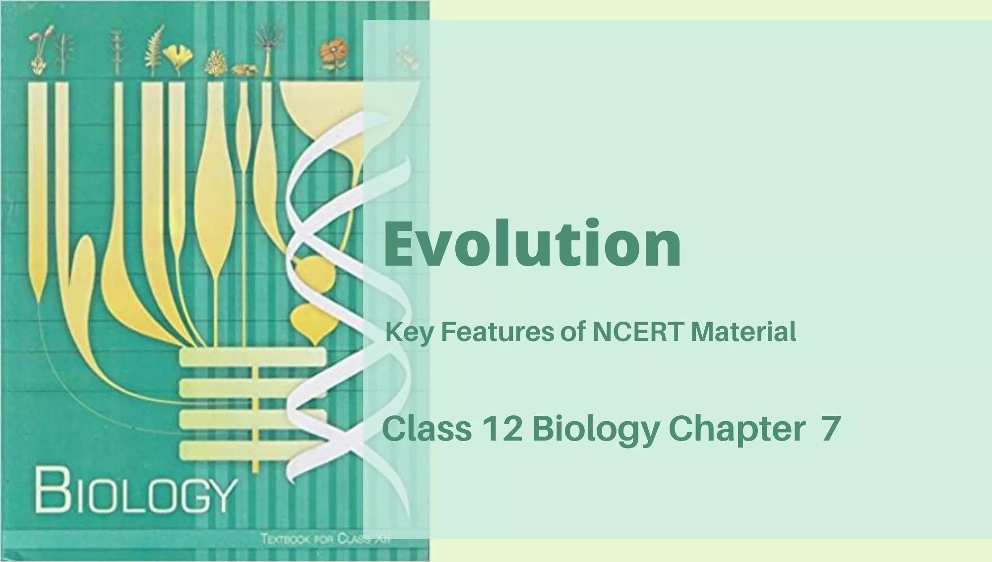 Biological Classification Class 11 Biology Ncert Chapter 2 Reeii Education