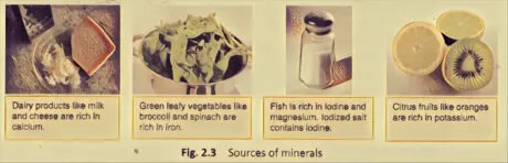 sources of minerals