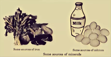 some sources of iron and calcium