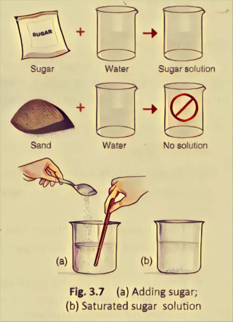 Solution And Solubility 