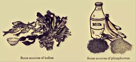 sources of iodine and phosphorous