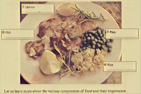 various components of food and their importance