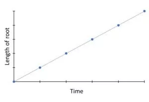 Graphical representation