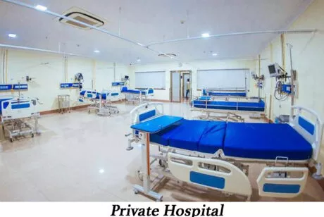 Role of the Government in Health: Private hospital