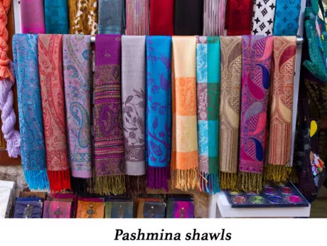 Understanding Diversity: Pashmina Shawls