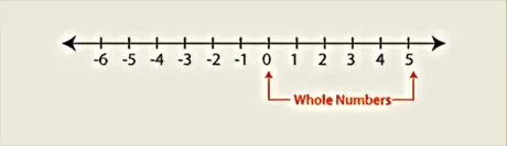 Integers: Whole numbers
