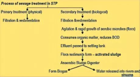 Microbes in Sewage Treatment 