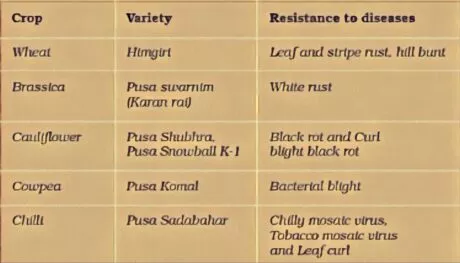 Strategies for Enhancement in Food Production 