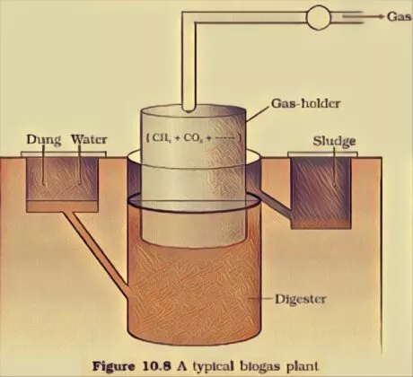 Microbes in Production of Biogas 