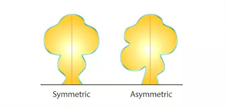 Symmetry  and Asymmetric