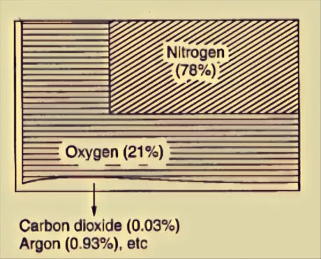 Constituents of air showing percentage of gases